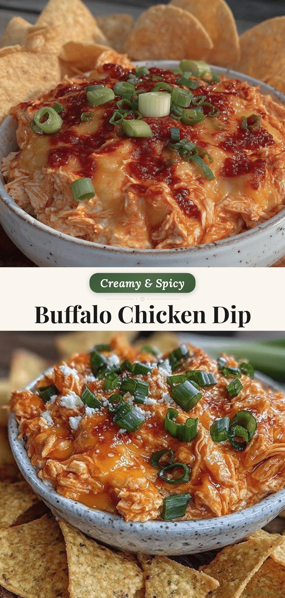 creamy buffalo chicken dip recipe