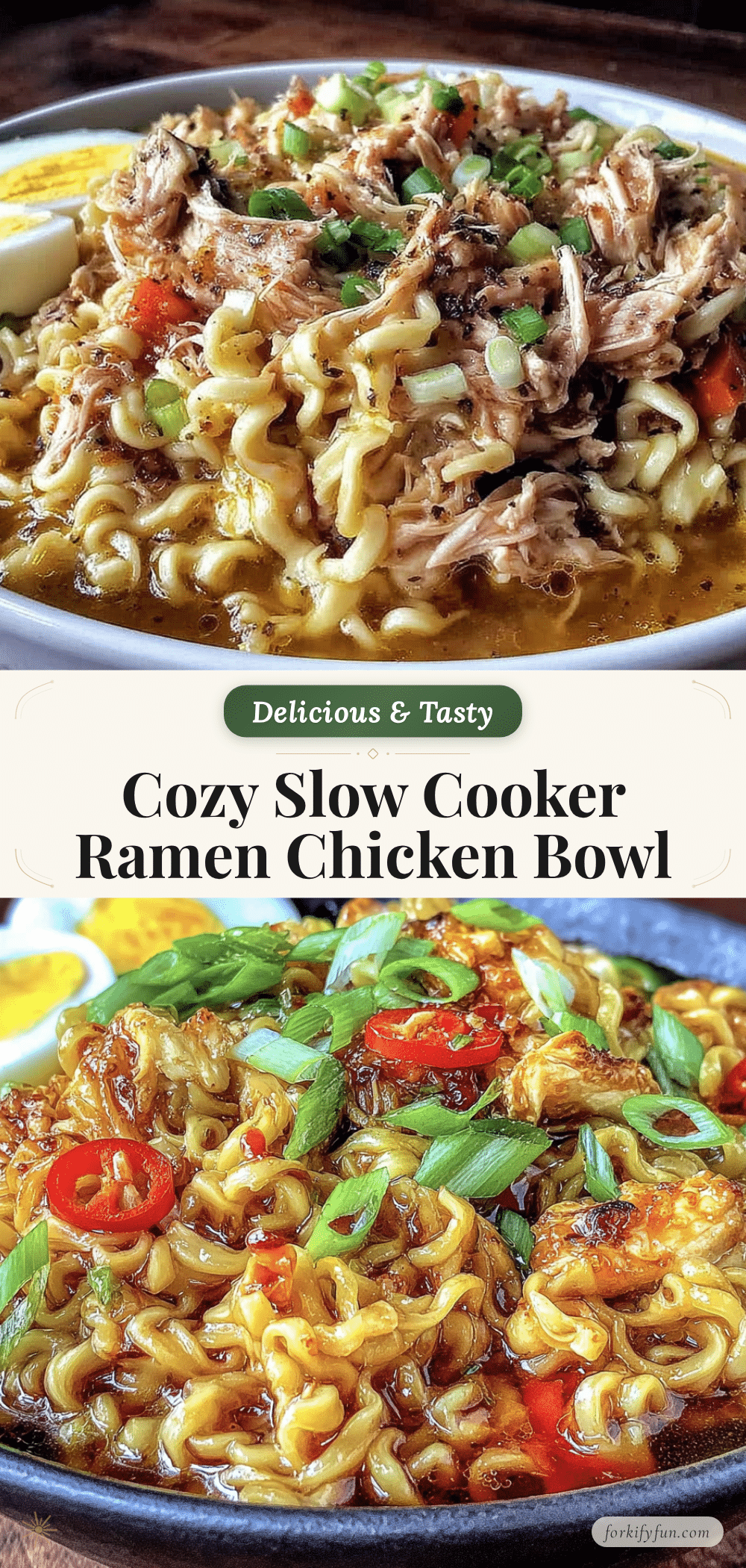 slow cooker ramen noodle chicken bowl recipe